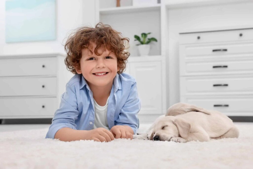 boy sitting on rug from Rug Cleaning Services Calwell ACT